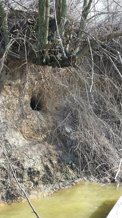 BALTA SULIMANU - MARTIE 2014 - sulimanu-loc-crap-mare.jpg